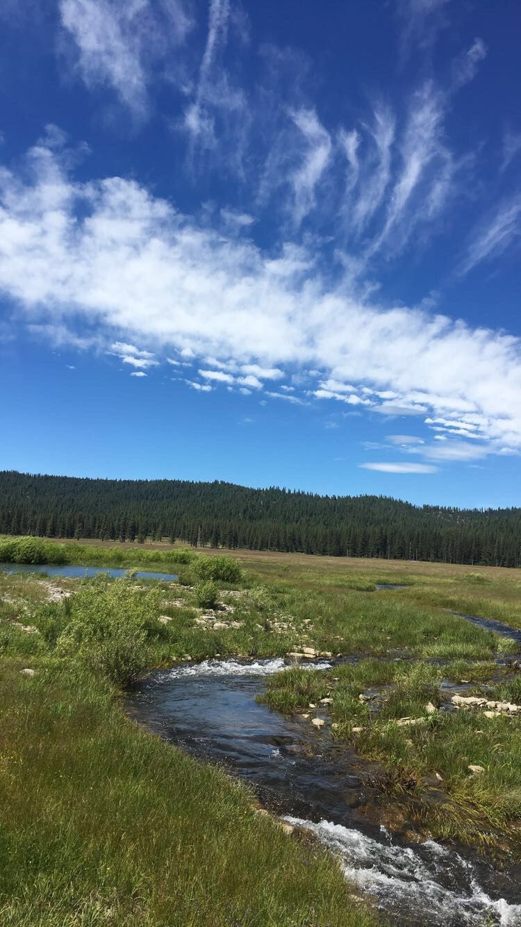 Summer day near Lake Almanor, California